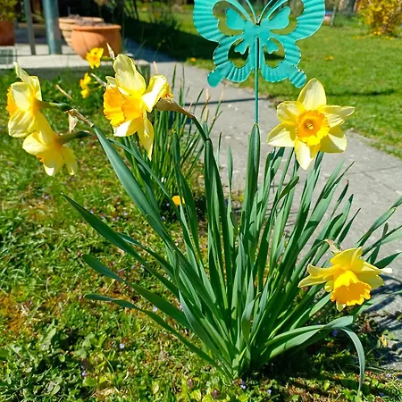 Auszeit - Ruhe Und Tradition Mitten In Der Stadt * Fuerstenfeld