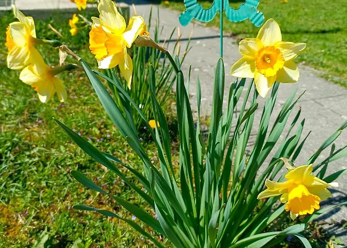 Auszeit - Ruhe Und Tradition Mitten In Der Stadt * Fölöstöm